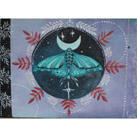 Moth, nocturnal insect painting